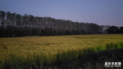 【多彩深秋】+秋收季節(jié)