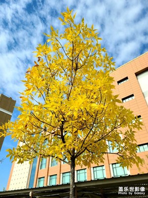 【多彩深秋】+克拉瑪依