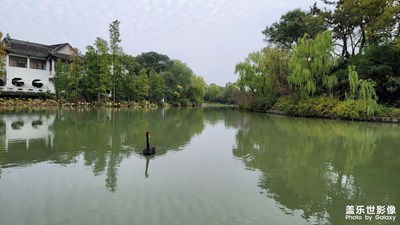 深秋的揚(yáng)州