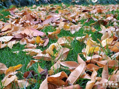 傍晚隨拍