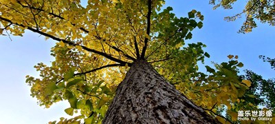 星之旅拍—Galaxy S20 Ultra