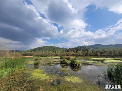 車(chē)木河濕地