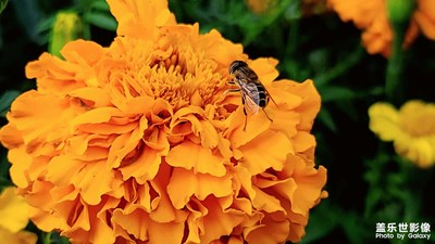 星之旅拍－暖冬