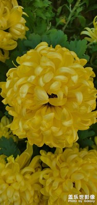 【色彩】+赤橙黃綠青藍(lán)紫