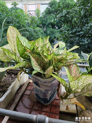 【色彩】+秋日繽紛