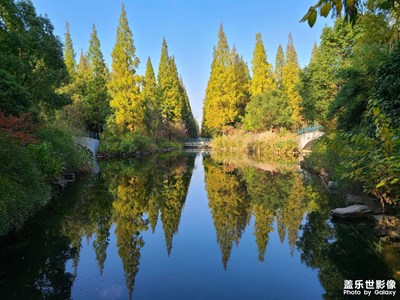 周末崇明島之旅