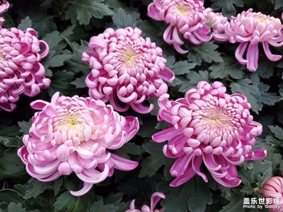 【色彩】+路遇隨拍