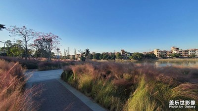 東莞城區(qū)附近的網(wǎng)紅地