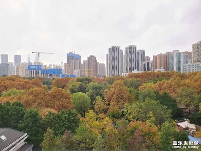 和平公園的秋色真不錯！