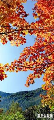 到處在下雪，昆明彩云南