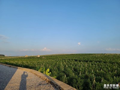 遠(yuǎn)離浮躁。