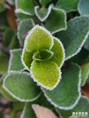 【心動的瞬間】＋初冬印象