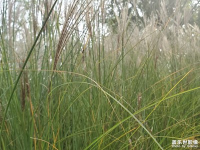 發(fā)現(xiàn)記錄