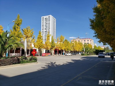 【心動的瞬間】+銀杏大道。