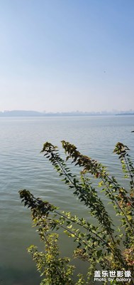 【心動(dòng)的瞬間】+武漢風(fēng)景