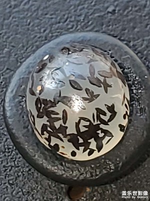 出發(fā)前還在做！