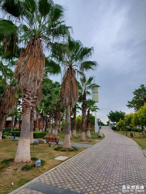 我喜歡孤寂，落寞的時(shí)光！