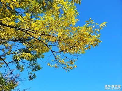 【與美好相遇】+美好時(shí)刻