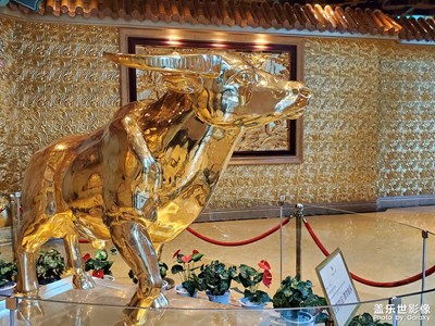 【與美好相遇】＋華西村一游