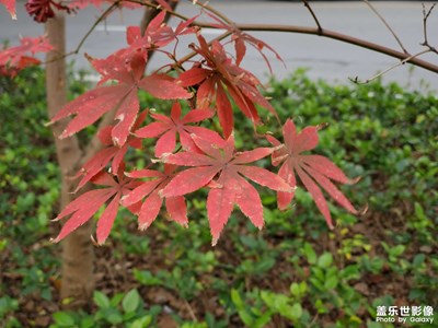 路上隨拍