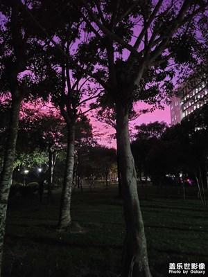 大愛紫色天空
