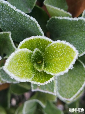 【難忘2020】＋2020年的隨拍