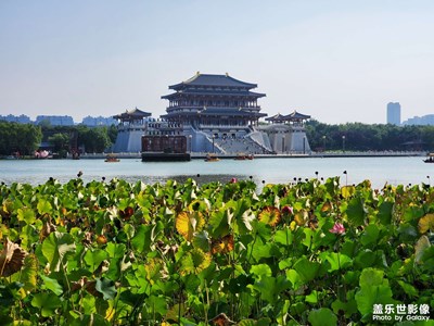 【難忘2020】+懷念逝去的青春