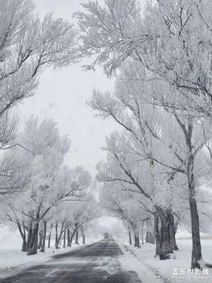 【與美好相遇】+雪樹下的等待