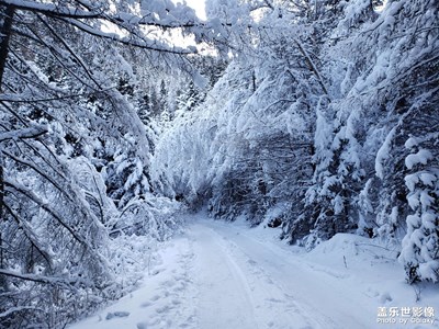 蘆芽山美麗的冰雪世界