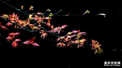 【難忘2020】+摸索中學(xué)習(xí)的拍攝歷程