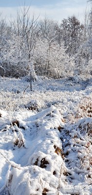 【難忘2020】+春夏秋冬