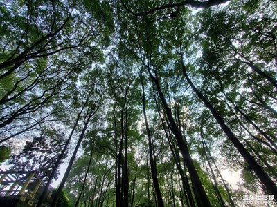 【與美好相遇】+曲徑通幽處