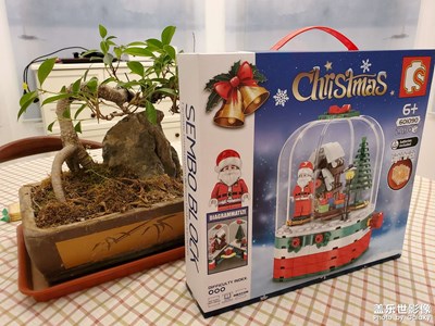 【圣誕狂歡】兒子的樂高