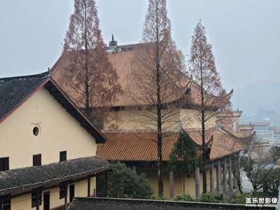 【難忘2020】+2020