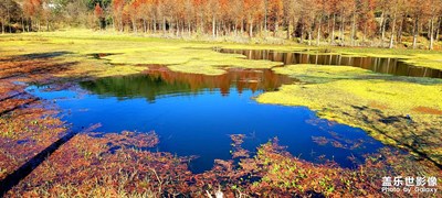 最美的風(fēng)景畫(huà)