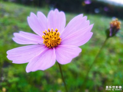 Note9 試水
