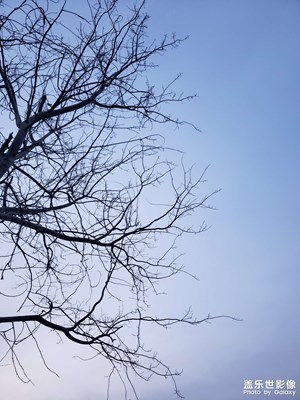 悶心還是。。。。