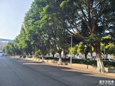 【捕捉精彩】+冬日暖陽