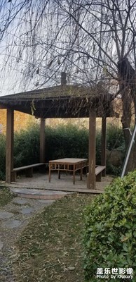 【捕捉精彩】+蕭瑟冬意