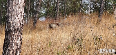 【時(shí)光】山拍