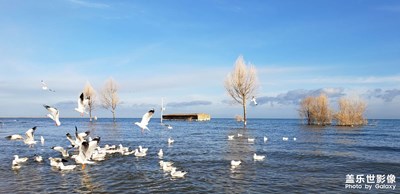 【難忘2020】愛(ài)在人間