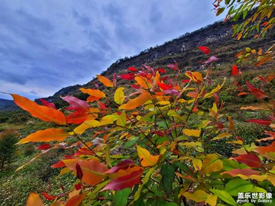 【時(shí)光】+秋去秋來(lái)