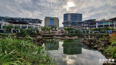 【難忘2020】此情此景