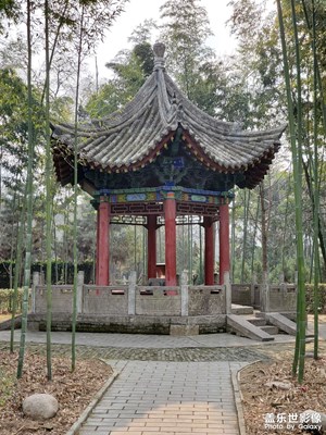 【喜迎元旦】歲末行旅圖