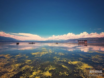 【難忘2020】+ 出去走走