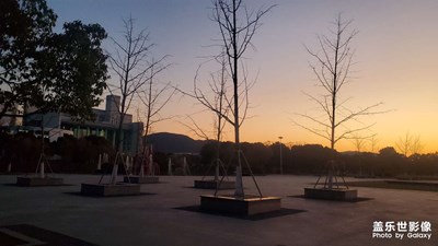 夕陽