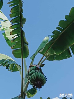 新年第三天，更新……