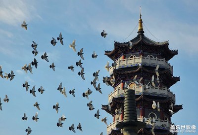 元旦假期歡樂多