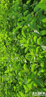 2020年，留在南疆的紀(jì)念……