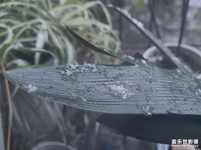 十余年光陰，你，還是來了……